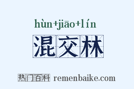 混交林是什么意思的图片